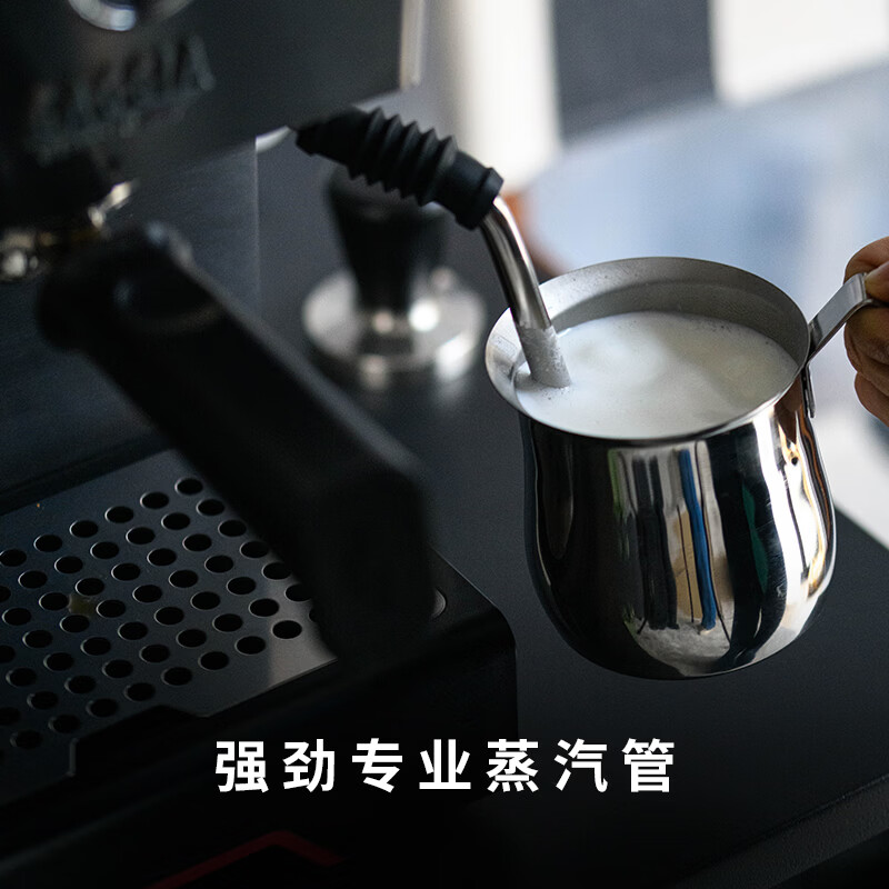 Gaggia-Classic GT咖啡机图片