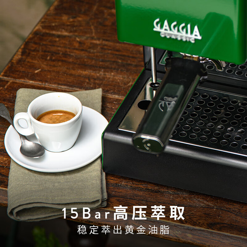 Gaggia-Classic E24咖啡机图片