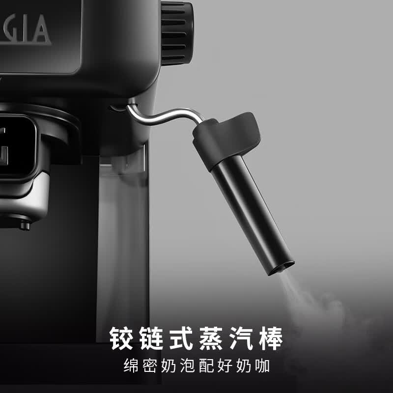 Gaggia-Espresso EG2019咖啡机图片
