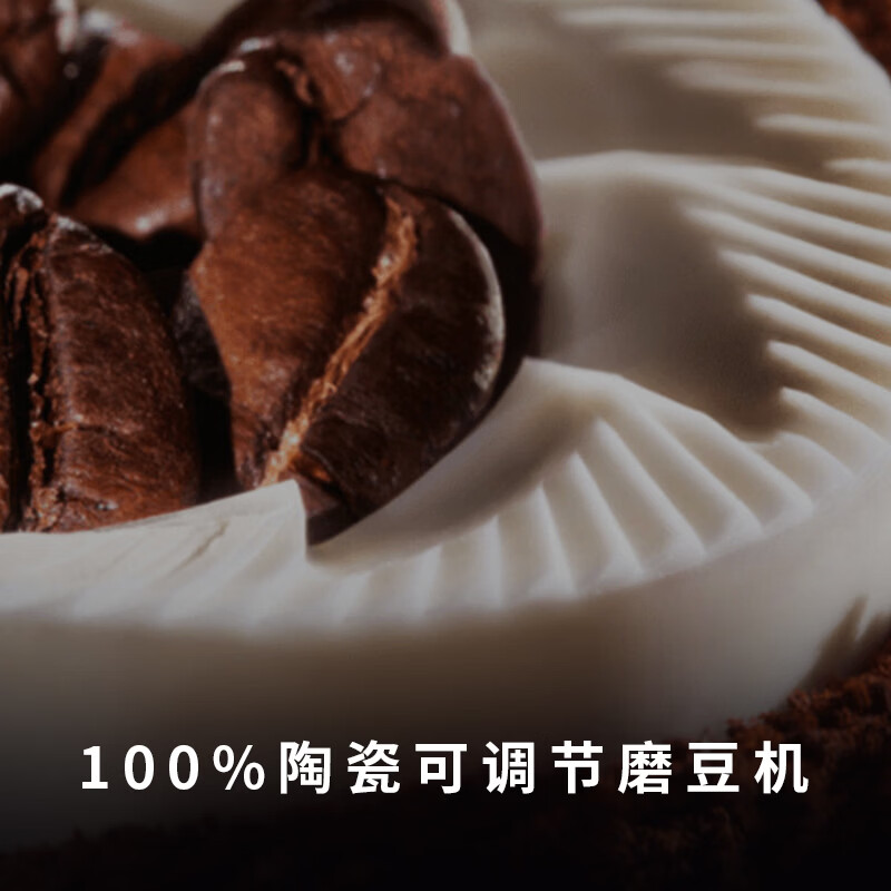 Gaggia-Anima Prestige咖啡机图片