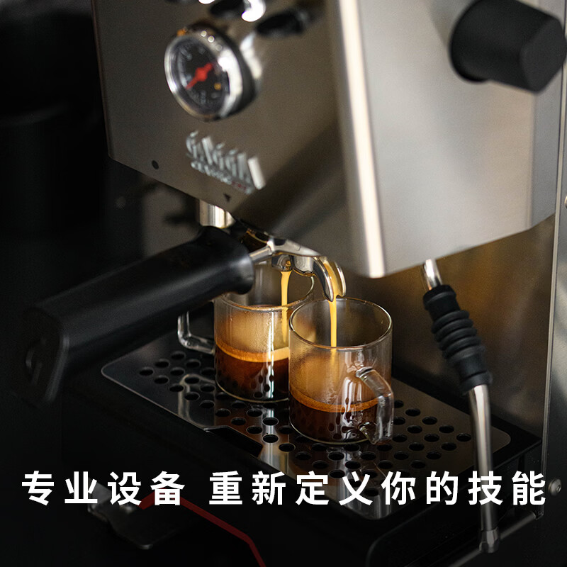Gaggia-Classic GT咖啡机图片