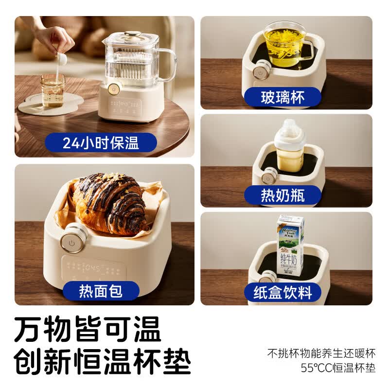 BASSENS巴森BS养生壶图片