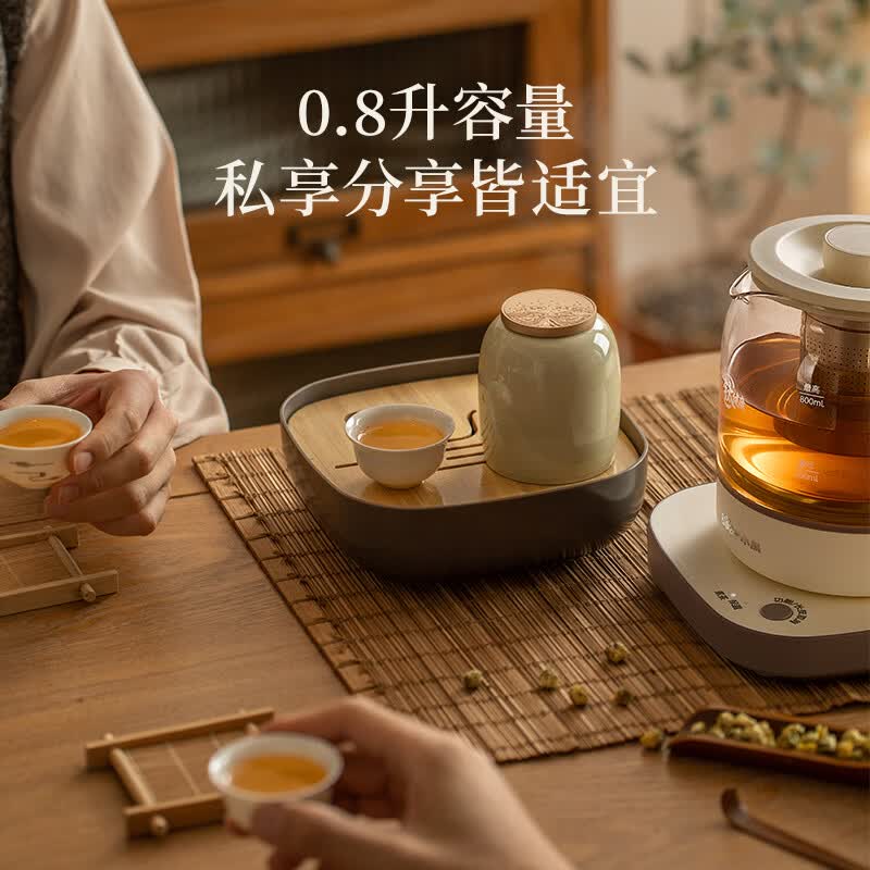 小熊ZCQ-M08S2养生壶图片