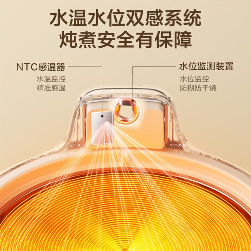 苏泊尔SW-10Y10Q养生壶图片