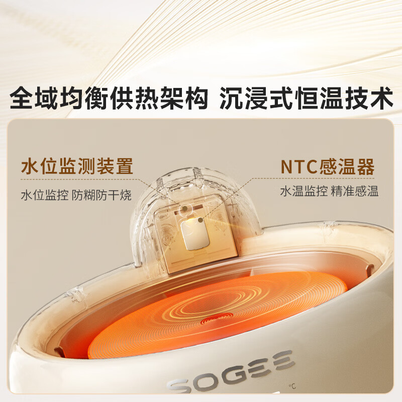 小质YSH13养生壶图片