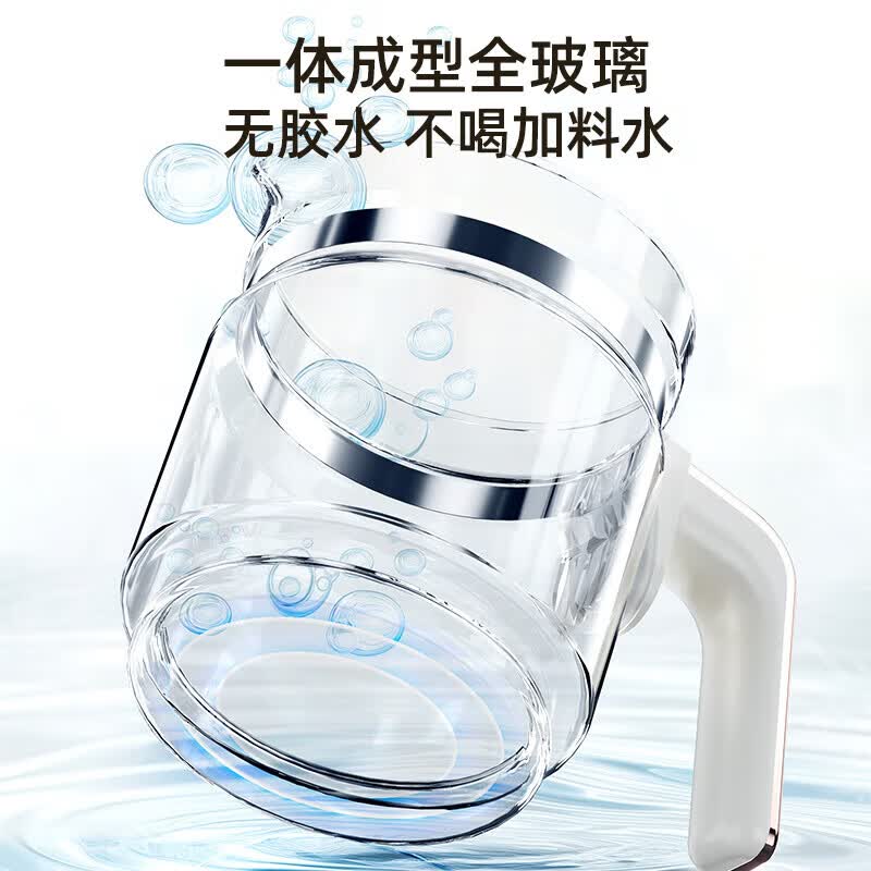 志高OKW-502E养生壶图片