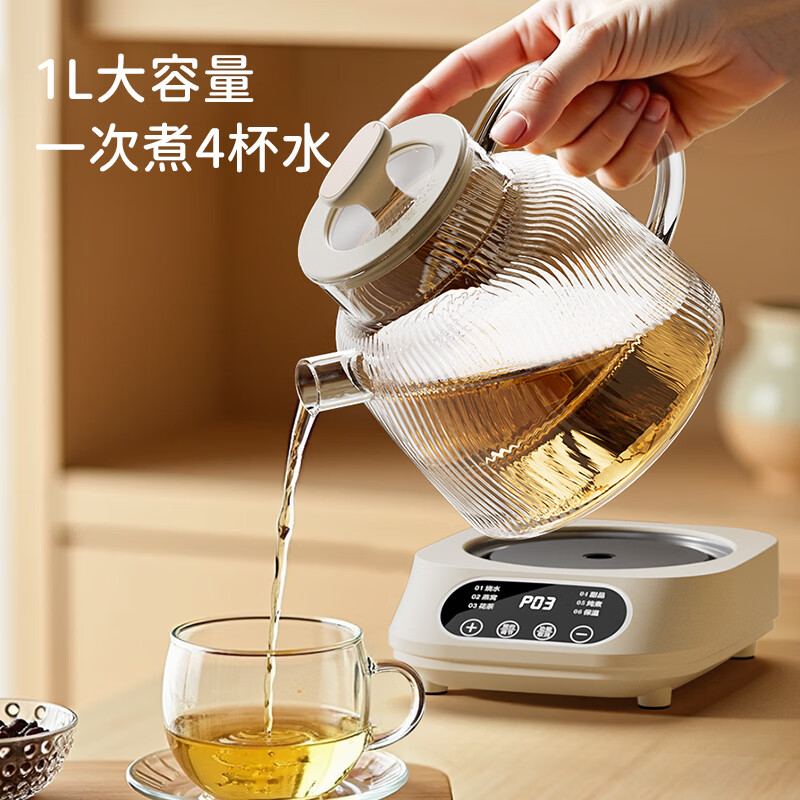 志高BG-08养生壶图片