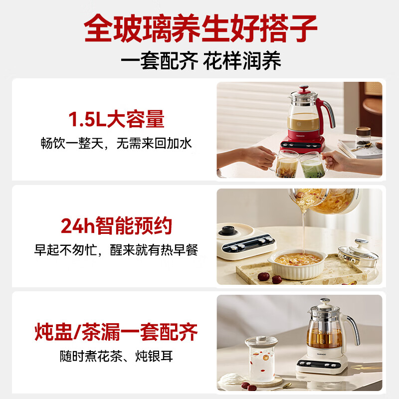 DAEWOOYS16养生壶图片