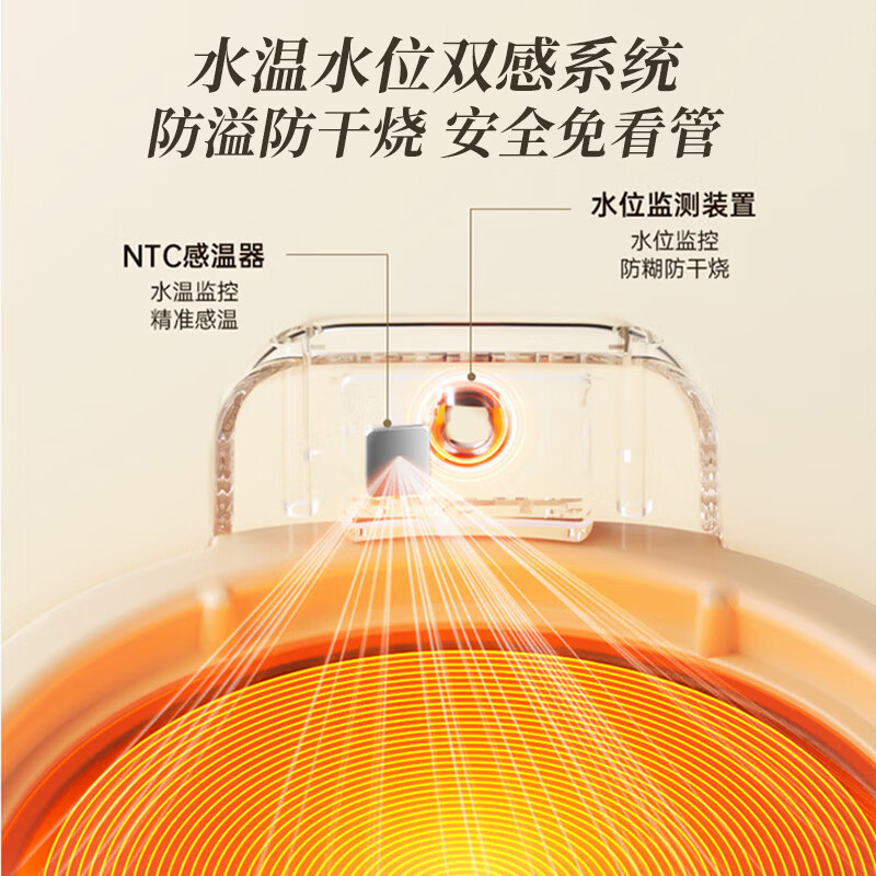 志高YJ-A02养生壶图片