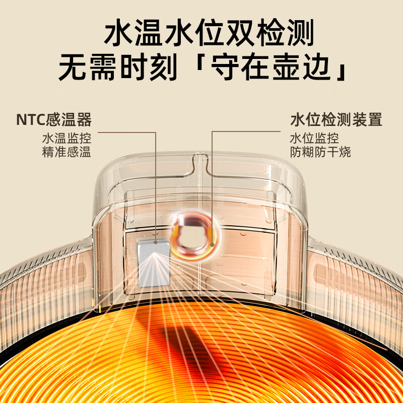 CmdieipM-710E养生壶图片