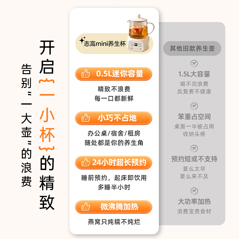 志高BG-YSB202养生壶图片