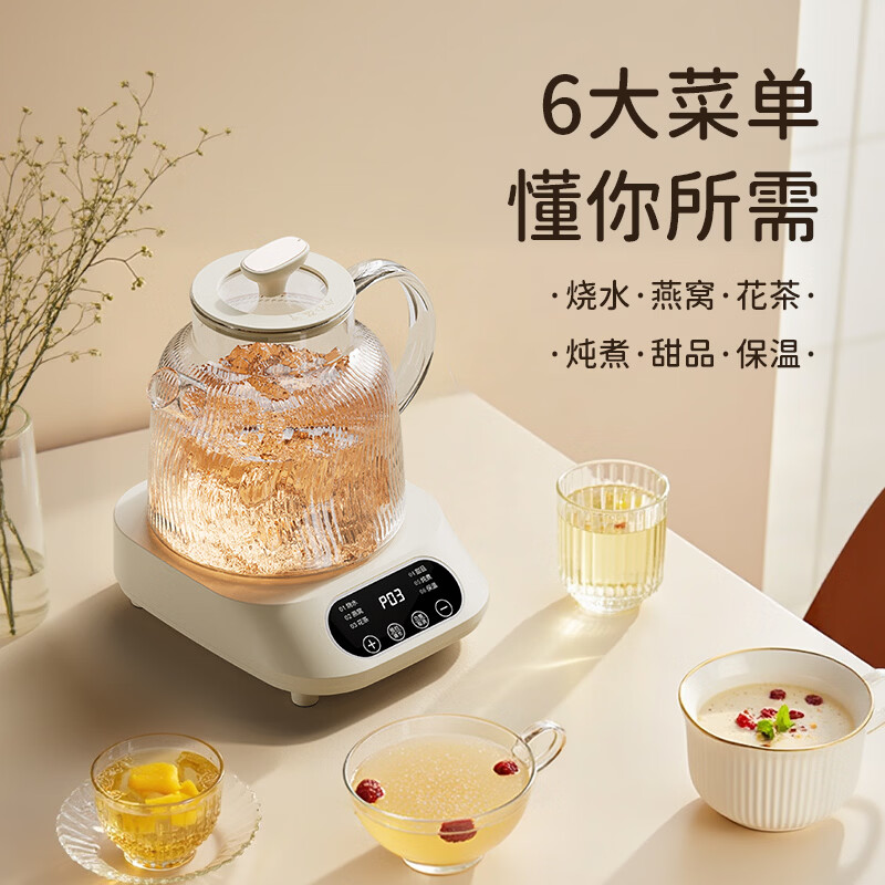 志高BG-08养生壶图片