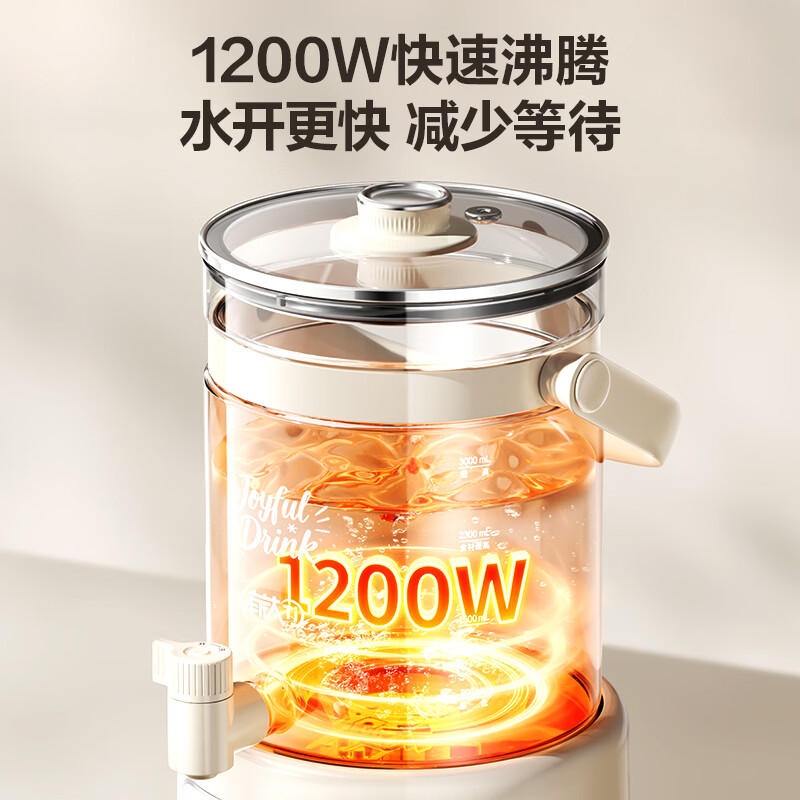 苏泊尔SW-30YQ31养生壶图片