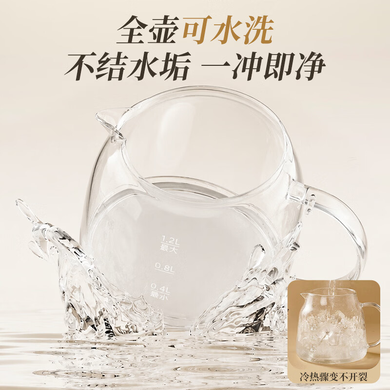 志高YJ-A02养生壶图片