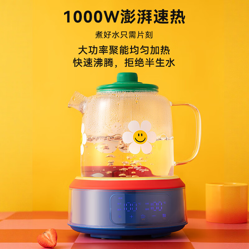 GLASSLOCKGE-TE09WW-F-1养生壶图片