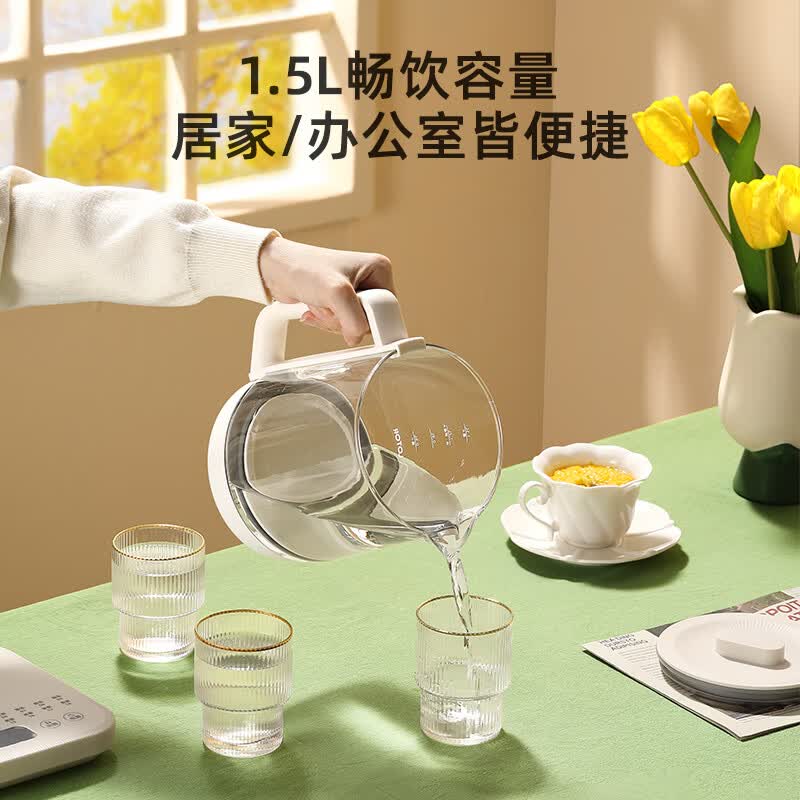 LOTOR徕多WH16养生壶图片