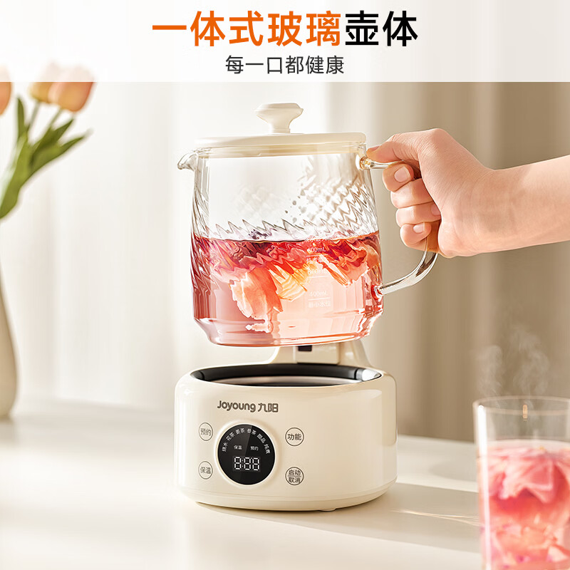 九阳WY-PR2105（1L）养生壶图片