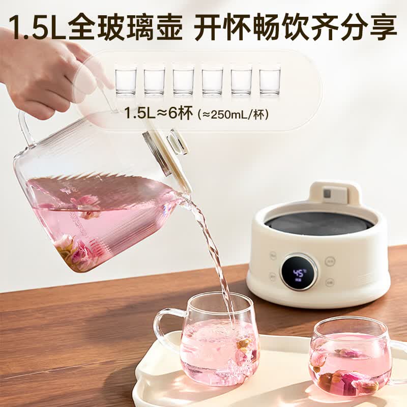 西可XJS-HCH-21A养生壶图片