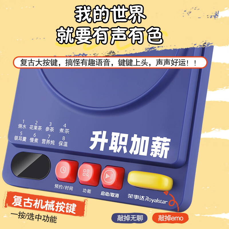 荣事达YSH1227(Ti)养生壶图片