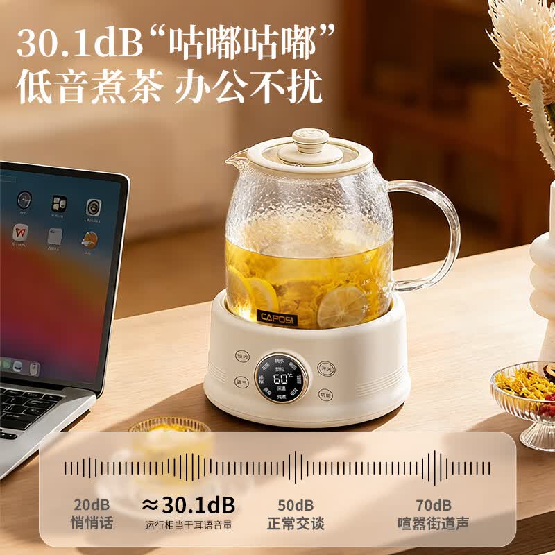 嘉泊仕CA-Y06养生壶图片