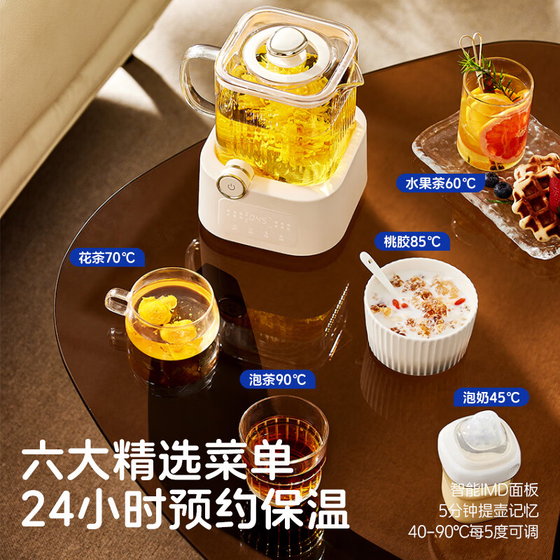 BASSENS巴森BS养生壶图片
