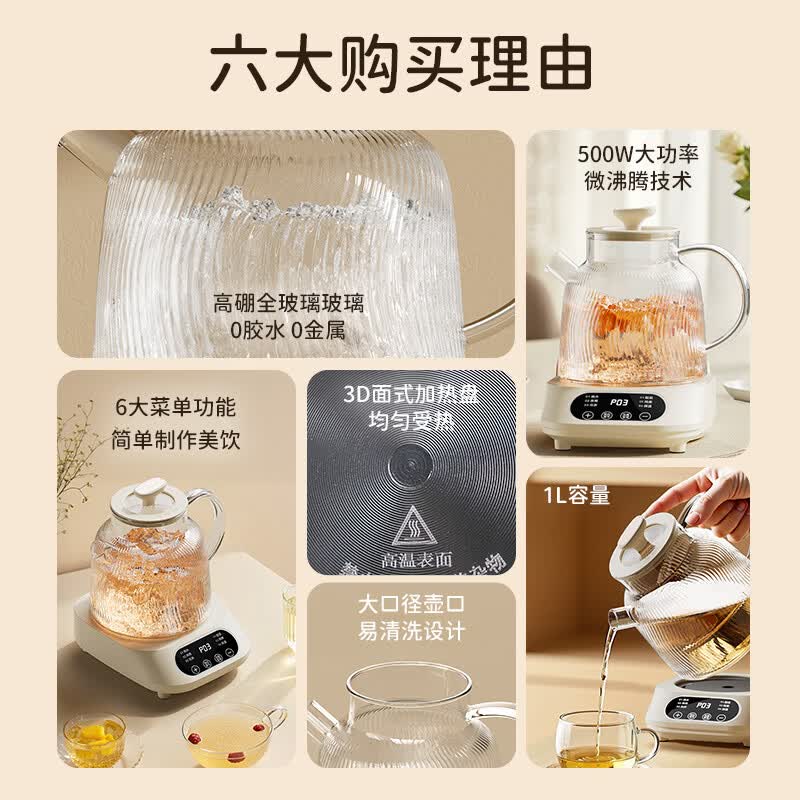 志高BG-08养生壶图片