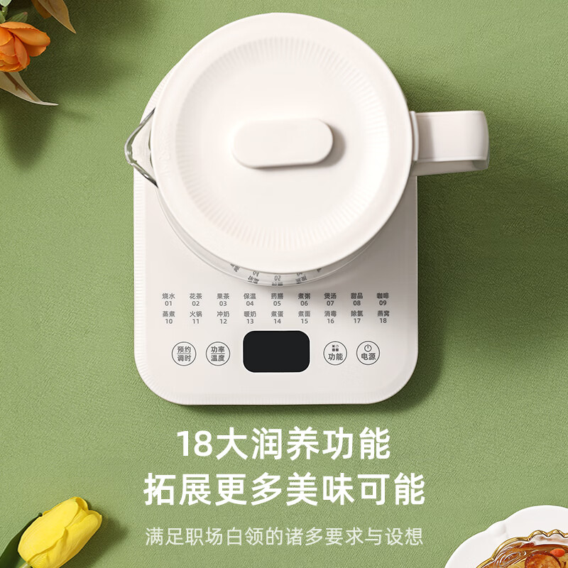 LOTOR徕多WH16养生壶图片