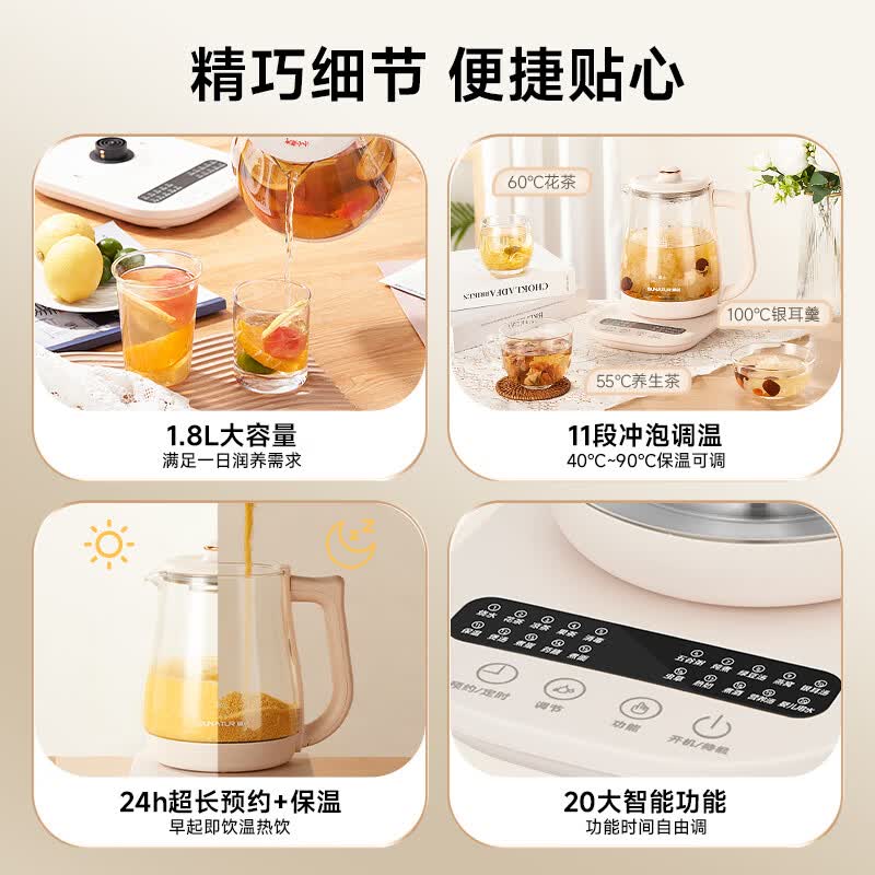 顺然DC5B06养生壶图片
