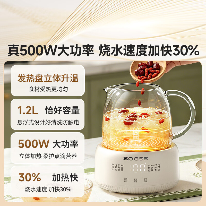 小质YSH13养生壶图片