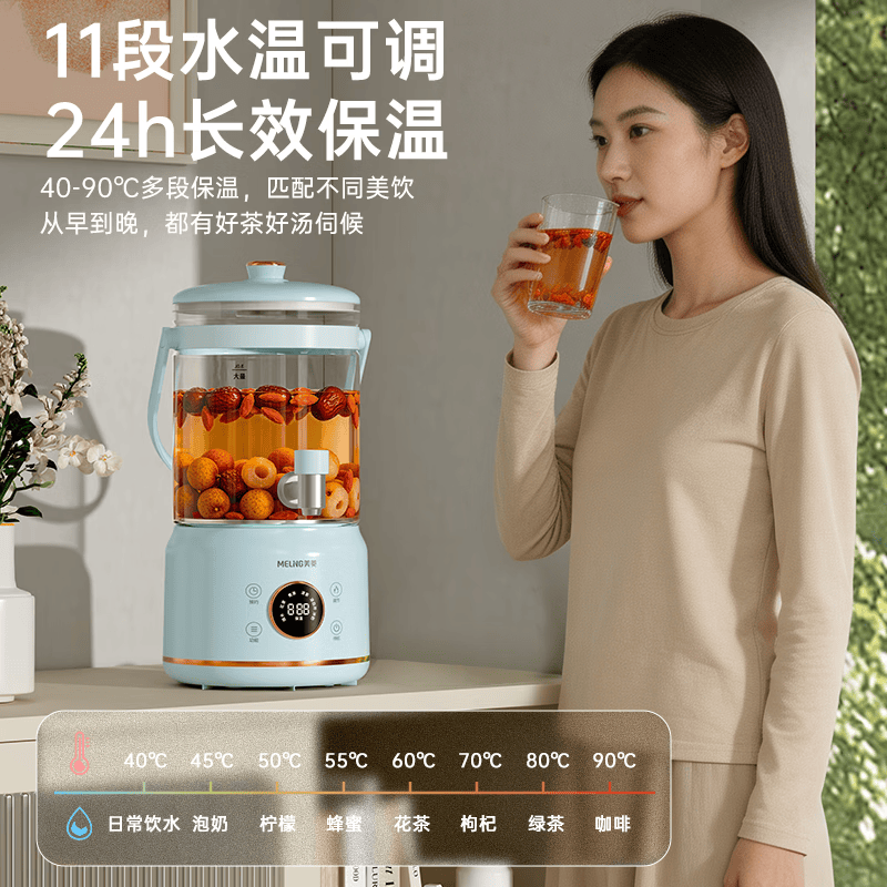 美菱MJ-DE3053养生壶图片