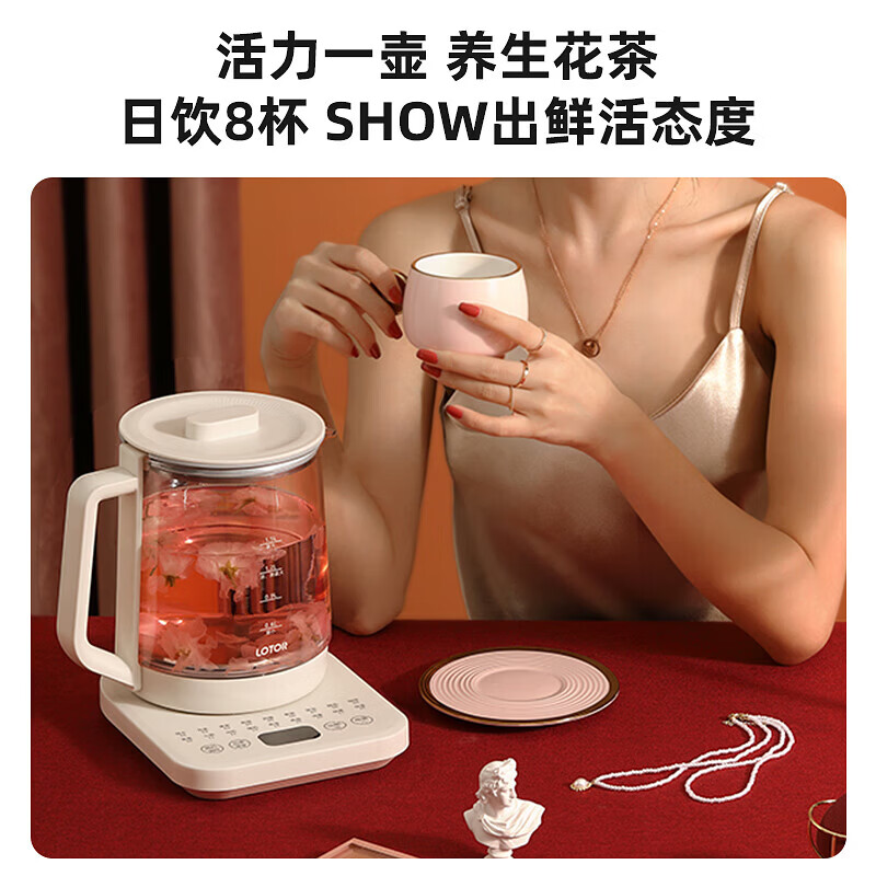 LOTOR徕多WH16养生壶图片