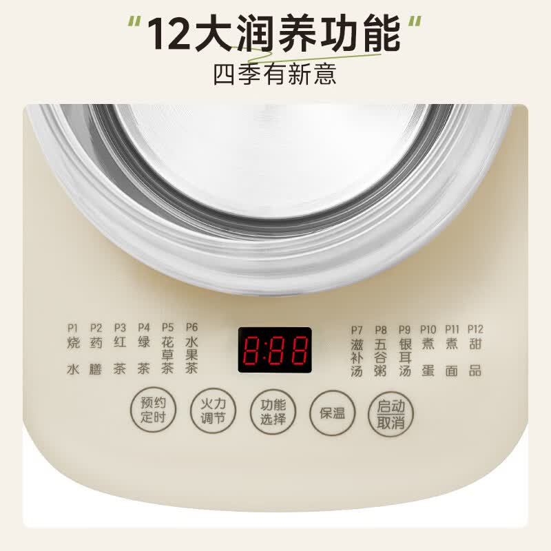 九阳K15D-WY303养生壶图片