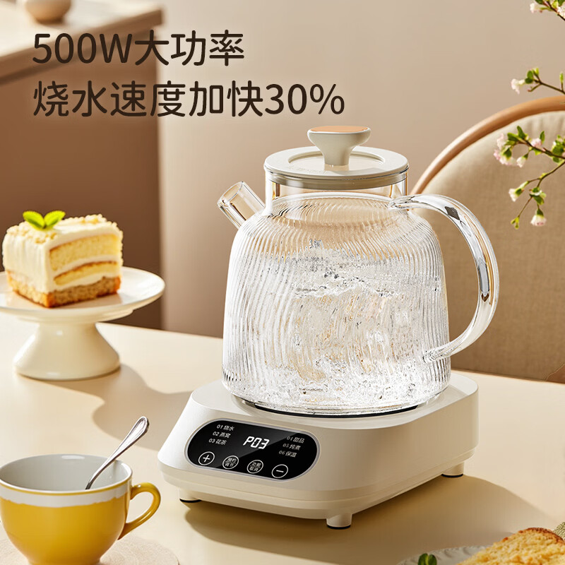 志高BG-08养生壶图片