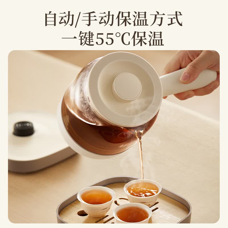 小熊ZCQ-M08S2养生壶图片