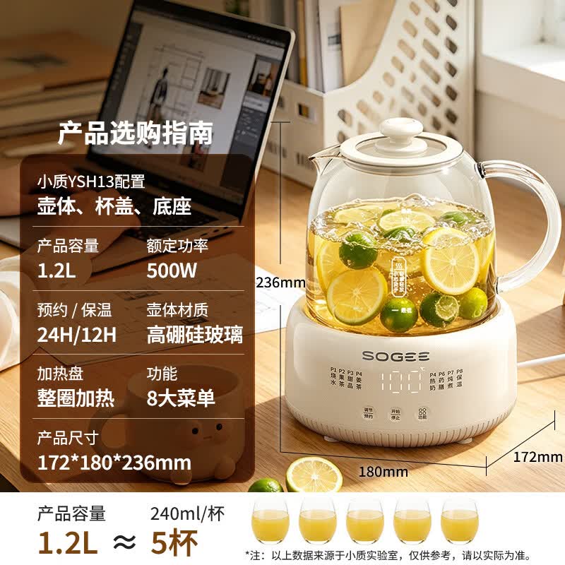 小质YSH13养生壶图片