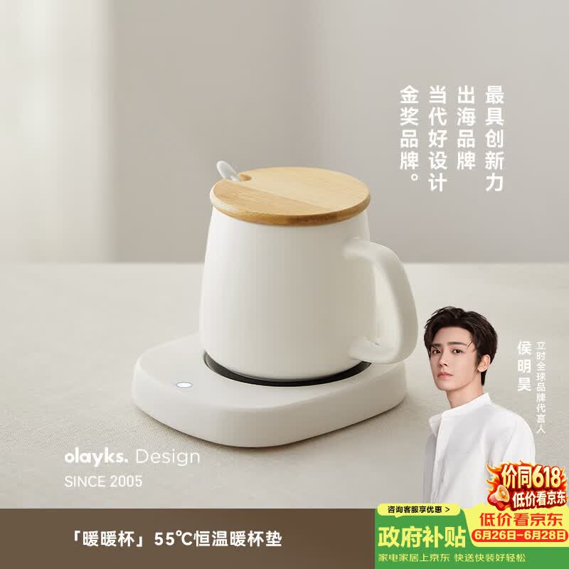 olayksOLK-TC01养生壶图片
