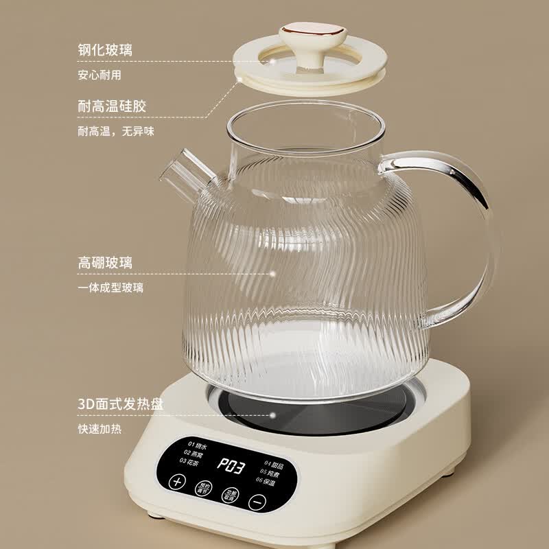 志高BG-08养生壶图片