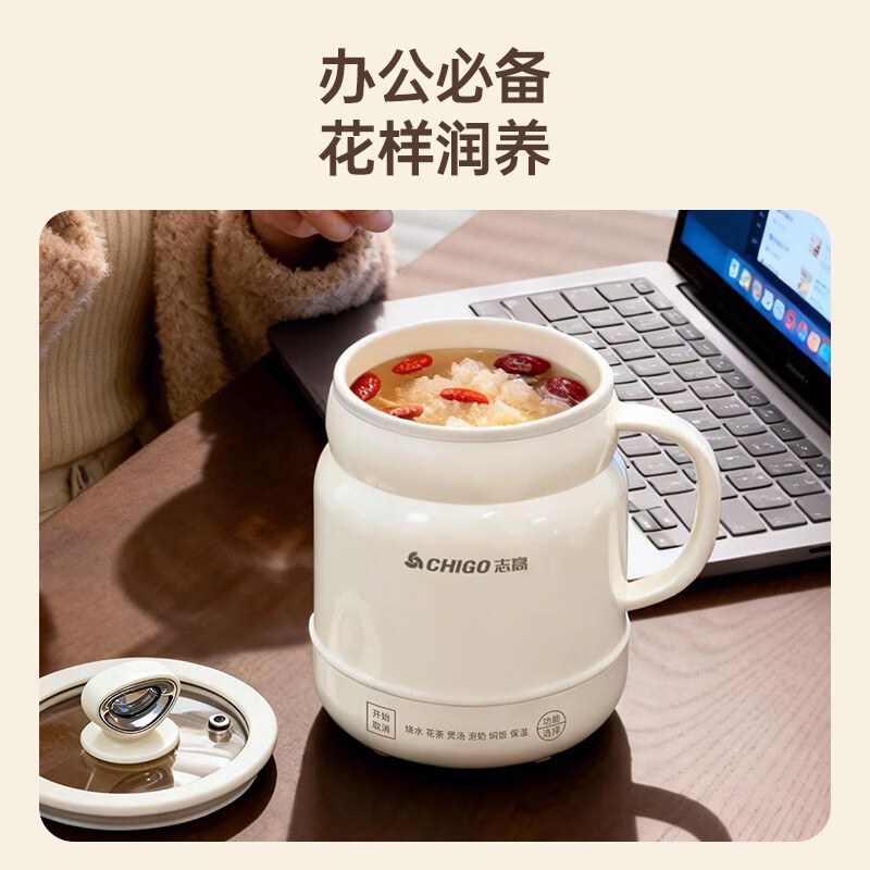 志高LY-D800-1养生壶图片