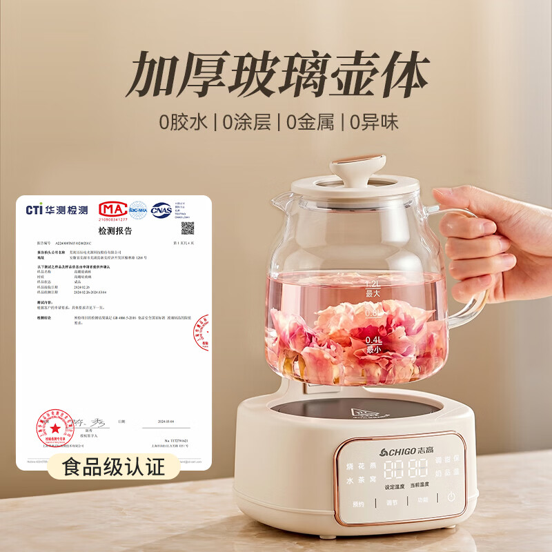 志高YJ-A02养生壶图片