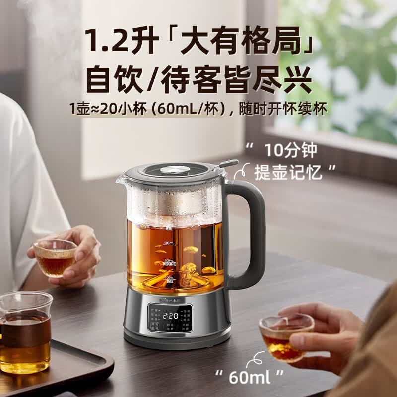 小熊ZCQ-D12L6养生壶图片