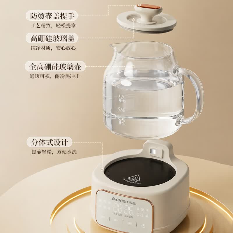 志高YJ-A02养生壶图片