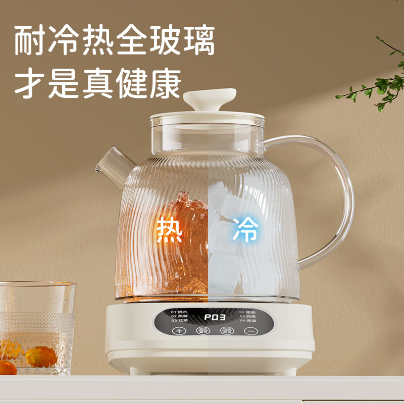 志高BG-08养生壶图片