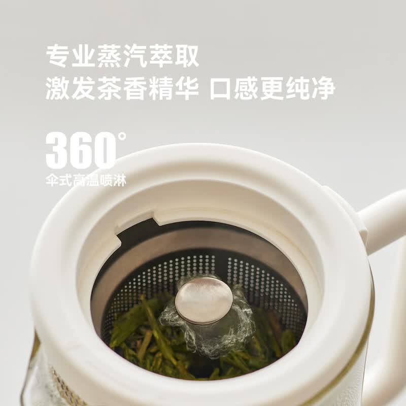 olayksOLK-ZCQ600B-1养生壶图片