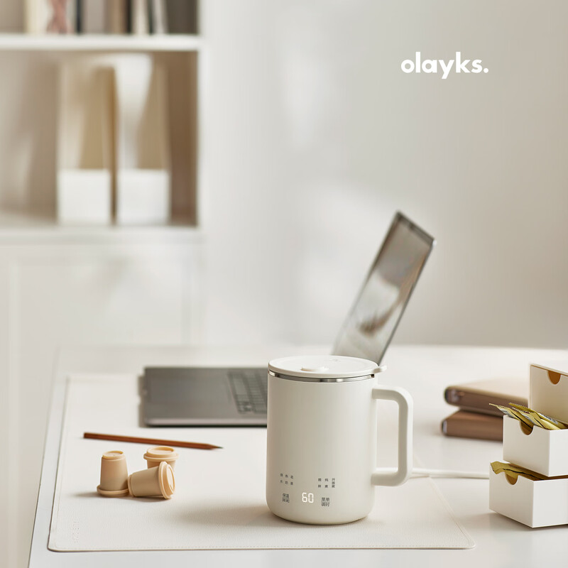 olayksOLK-06-12养生壶图片