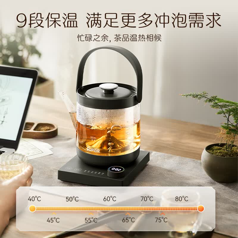 苏泊尔SW-10C13养生壶图片