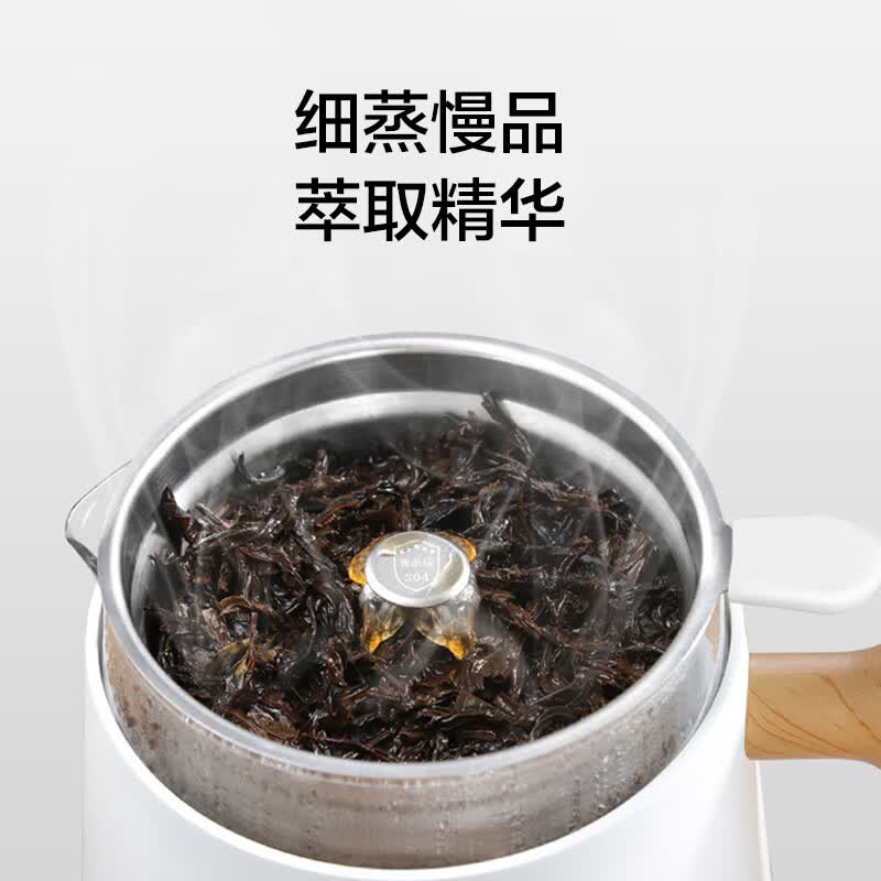 生活元素I38养生壶图片