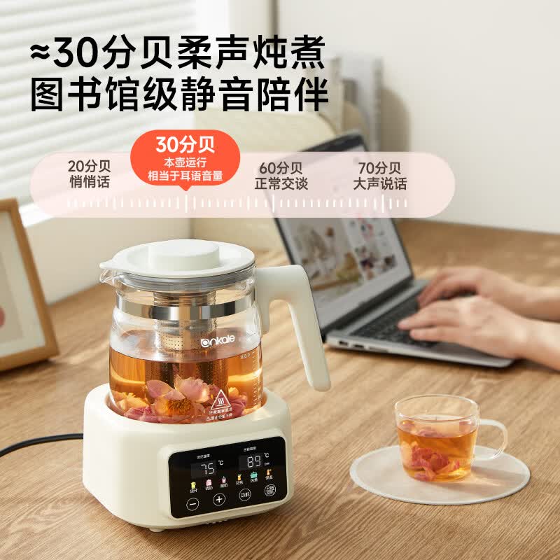 ankaleAJL-DT02-13养生壶图片