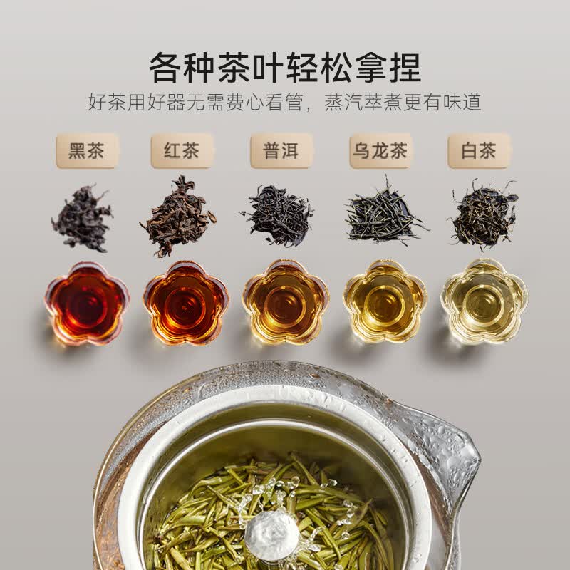 苏泊尔SW-10C07养生壶图片