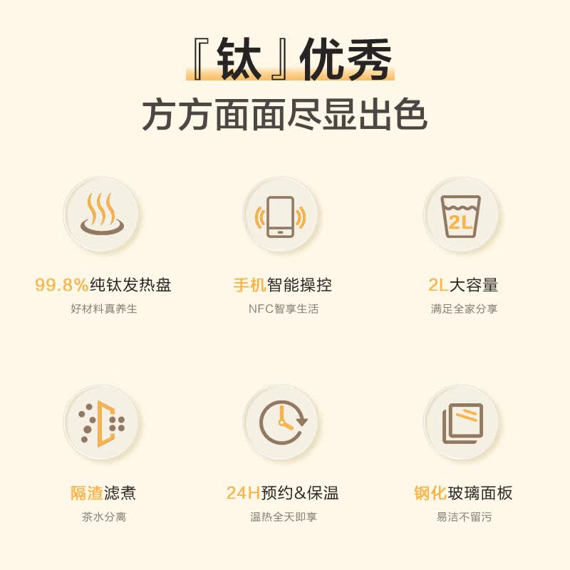 荣事达YSH2002养生壶图片