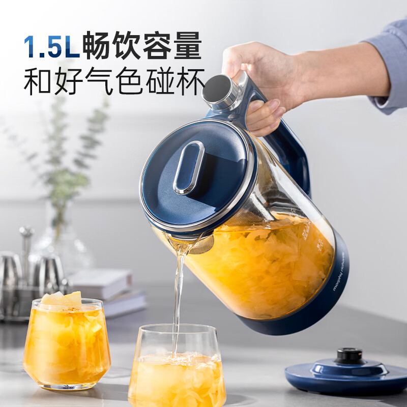 摩飞MR6089养生壶图片
